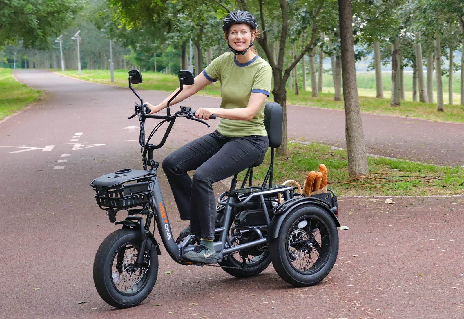 Meet One Breeze Pro Fat Tire Electric Trike