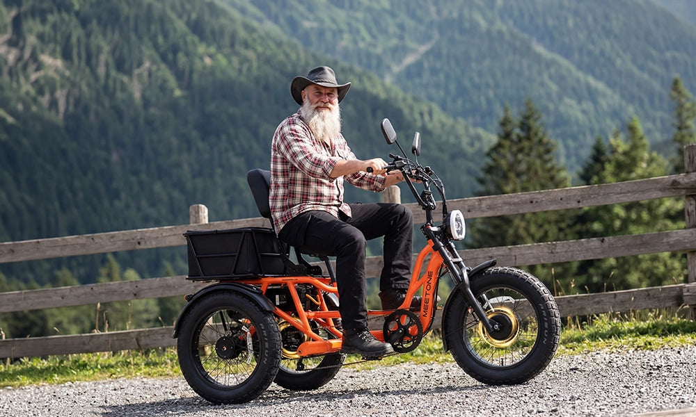 Dual Motor, All-Wheel Drive